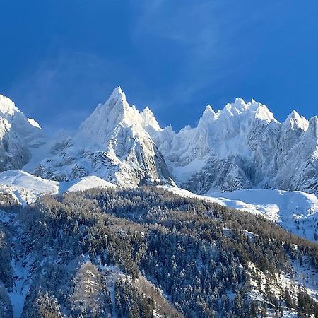 Chamonix Superbe Appartement Vue Mont Blanc Экстерьер фото