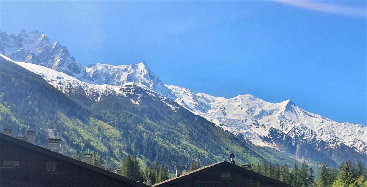Chamonix Superbe Appartement Vue Mont Blanc Экстерьер фото