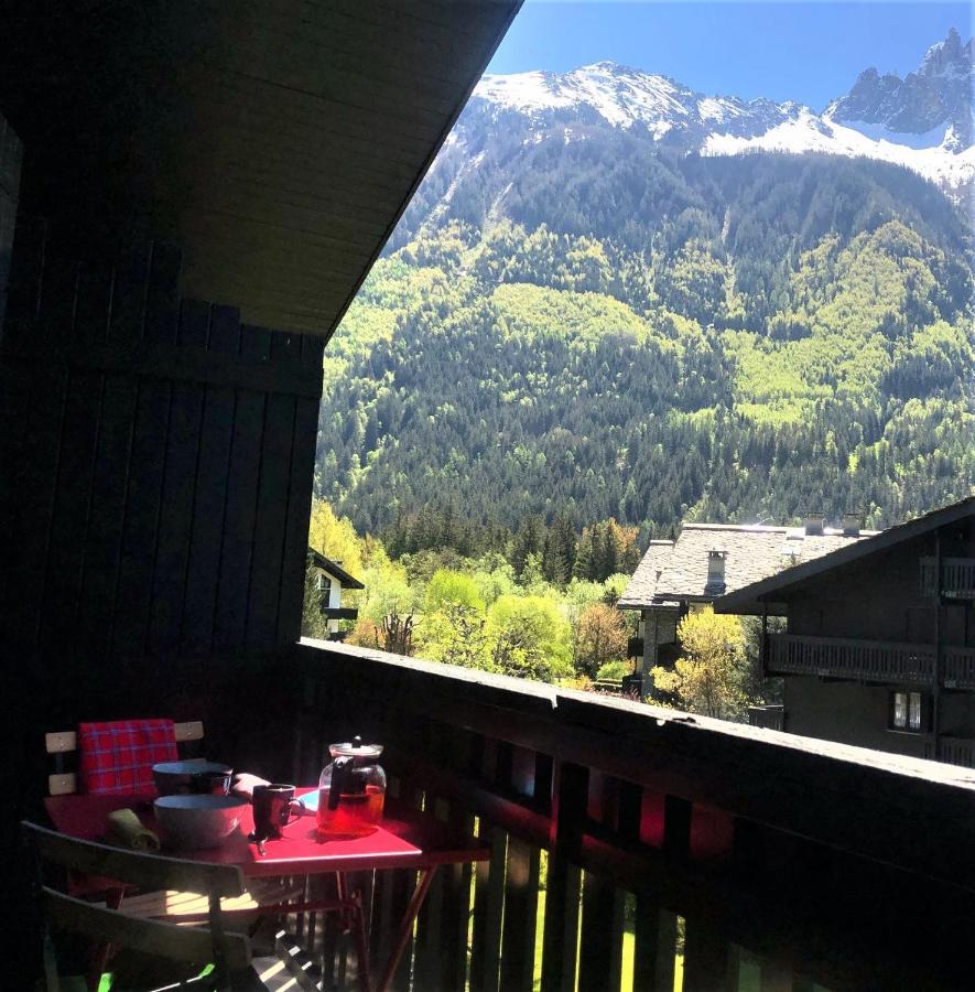 Chamonix Superbe Appartement Vue Mont Blanc Экстерьер фото