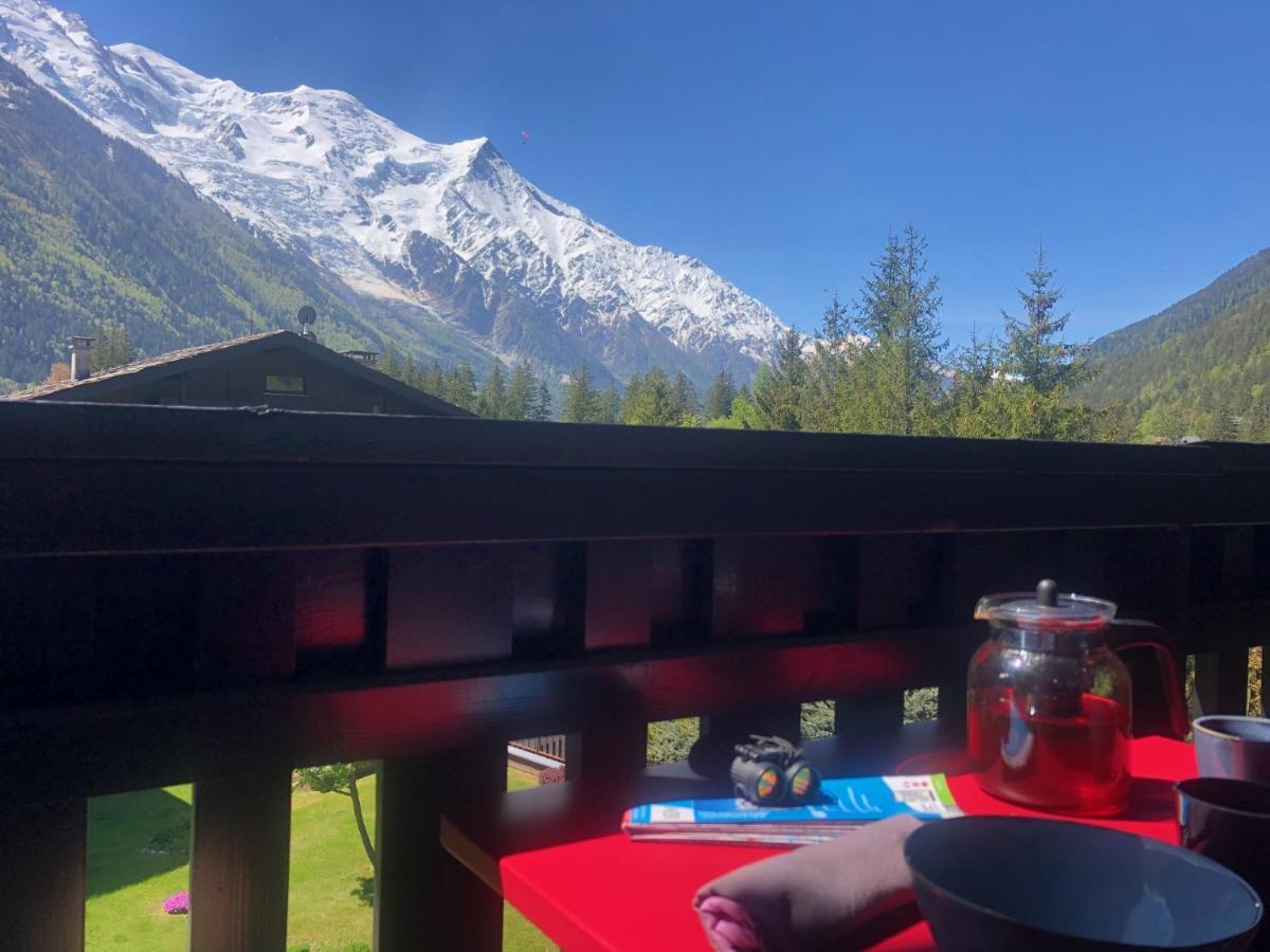 Chamonix Superbe Appartement Vue Mont Blanc Экстерьер фото