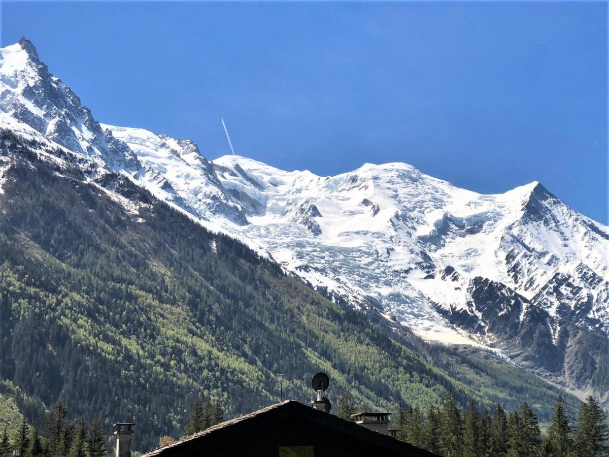 Chamonix Superbe Appartement Vue Mont Blanc Экстерьер фото