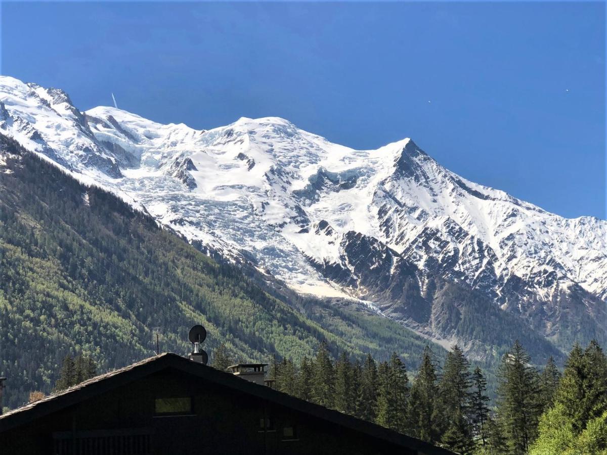 Chamonix Superbe Appartement Vue Mont Blanc Экстерьер фото