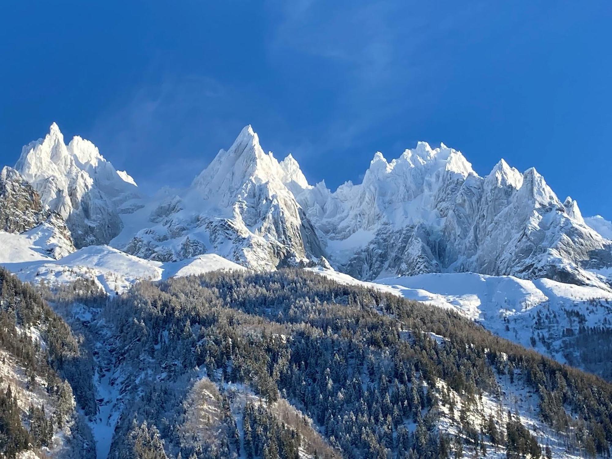 Chamonix Superbe Appartement Vue Mont Blanc Экстерьер фото